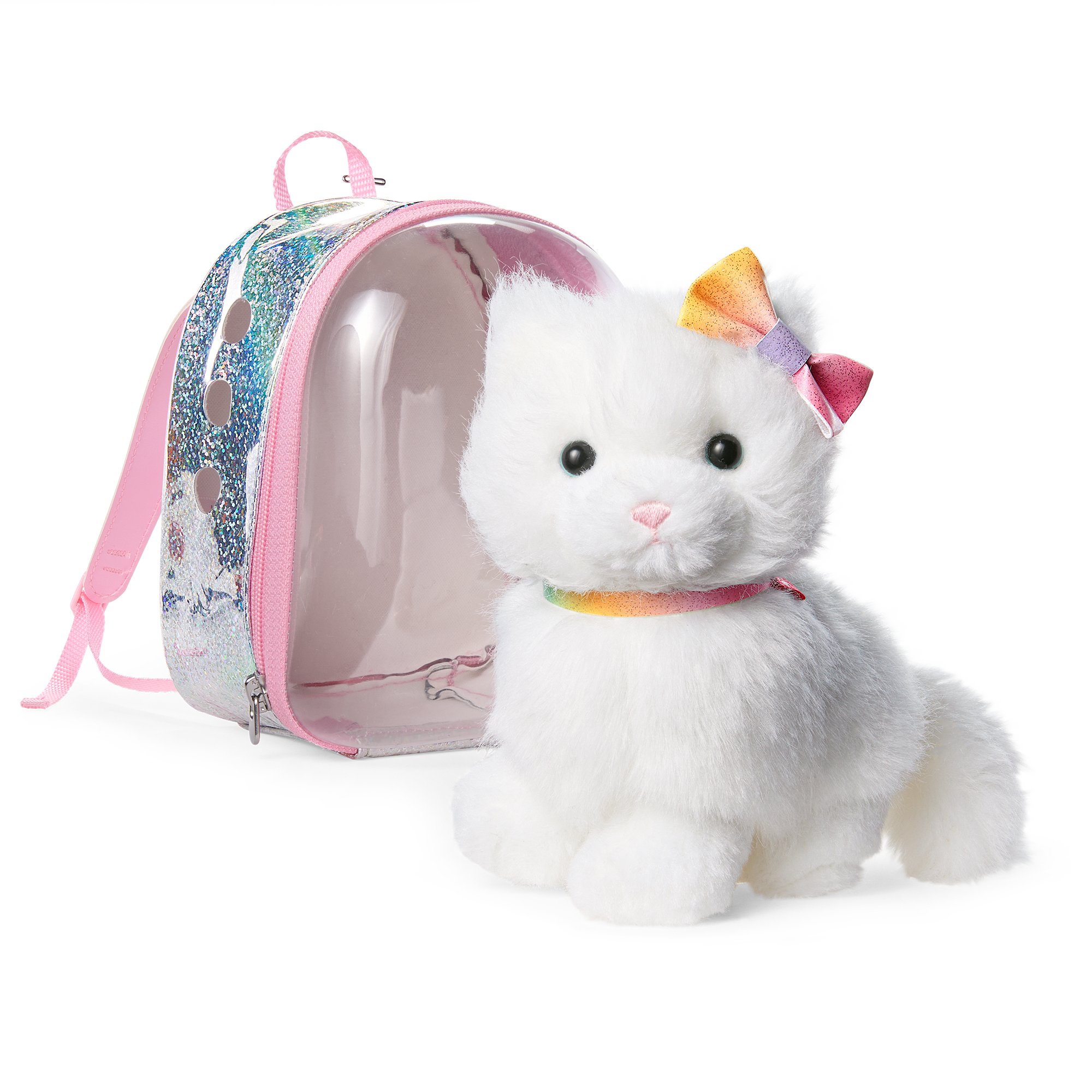 Summer's Cat, Fettuccine (Girl Of The Year 2025)