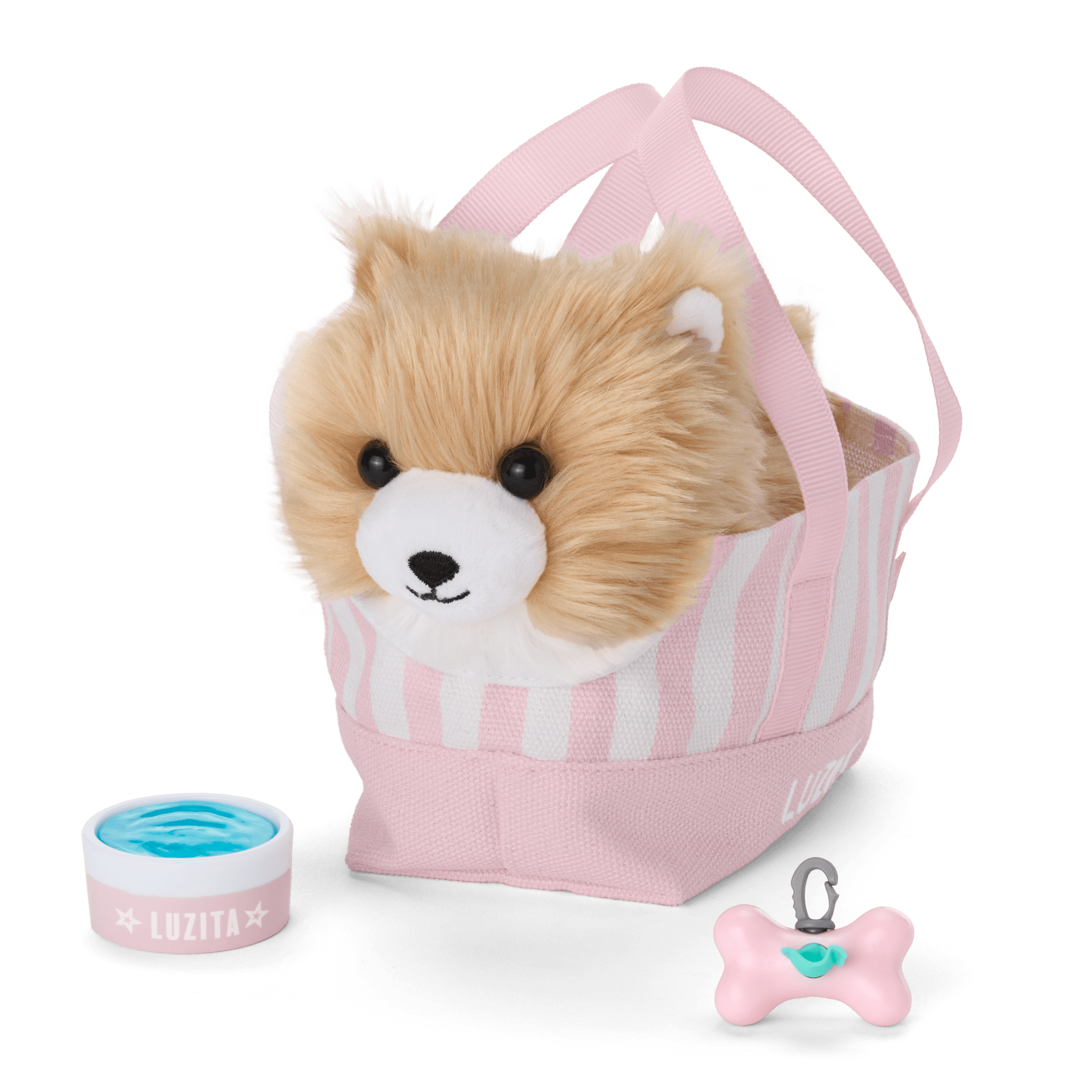 Raquel's Dog, Luzita (Girl Of The Year 2026) - Image 4