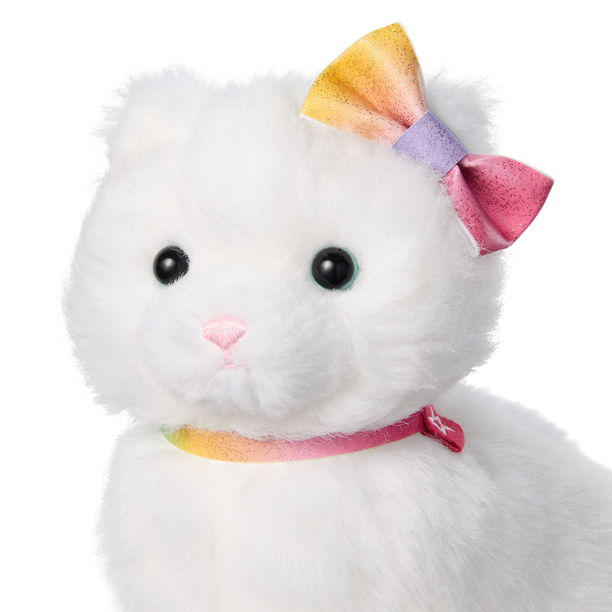 Summer's Cat, Fettuccine (Girl Of The Year 2025) - Image 5